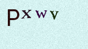 Visual Confirmation Security Code