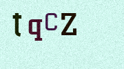 Visual Confirmation Security Code