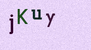 Visual Confirmation Security Code