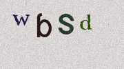 Visual Confirmation Security Code
