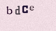 Visual Confirmation Security Code