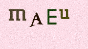 Visual Confirmation Security Code