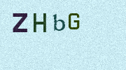 Visual Confirmation Security Code