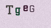 Visual Confirmation Security Code