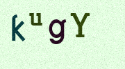 Visual Confirmation Security Code