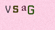 Visual Confirmation Security Code