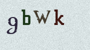 Visual Confirmation Security Code