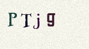 Visual Confirmation Security Code