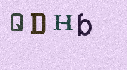 Visual Confirmation Security Code