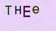 Visual Confirmation Security Code