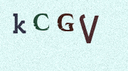 Visual Confirmation Security Code