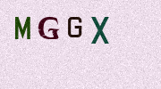 Visual Confirmation Security Code