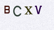 Visual Confirmation Security Code