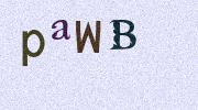 Visual Confirmation Security Code