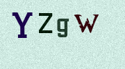 Visual Confirmation Security Code