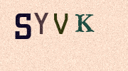 Visual Confirmation Security Code