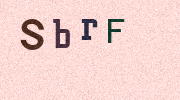 Visual Confirmation Security Code