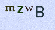 Visual Confirmation Security Code