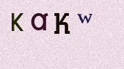 Visual Confirmation Security Code
