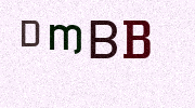 Visual Confirmation Security Code