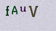 Visual Confirmation Security Code