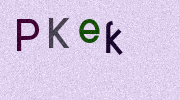 Visual Confirmation Security Code