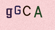 Visual Confirmation Security Code