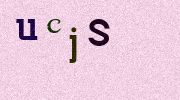 Visual Confirmation Security Code