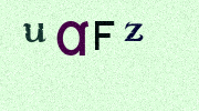 Visual Confirmation Security Code