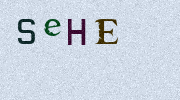 Visual Confirmation Security Code