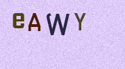 Visual Confirmation Security Code