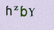 Visual Confirmation Security Code