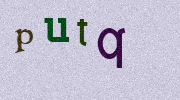 Visual Confirmation Security Code