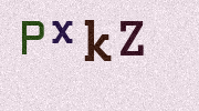 Visual Confirmation Security Code