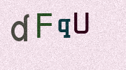 Visual Confirmation Security Code