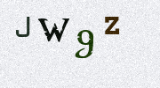 Visual Confirmation Security Code