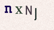 Visual Confirmation Security Code