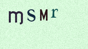 Visual Confirmation Security Code
