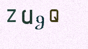Visual Confirmation Security Code
