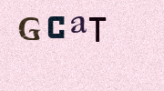 Visual Confirmation Security Code