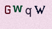 Visual Confirmation Security Code