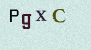 Visual Confirmation Security Code