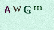 Visual Confirmation Security Code