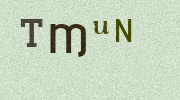 Visual Confirmation Security Code