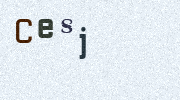Visual Confirmation Security Code