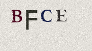 Visual Confirmation Security Code