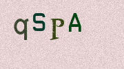 Visual Confirmation Security Code