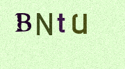 Visual Confirmation Security Code