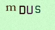 Visual Confirmation Security Code