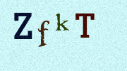 Visual Confirmation Security Code